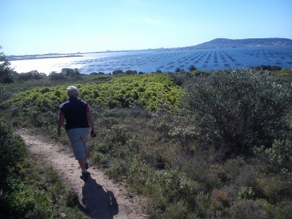 LOUPIAN - GARRIGUES ET ETANG DE THAU-herault