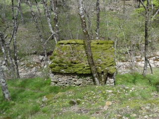 ANDARBE - ST-EUTROPE - PLO DES BRUS - OURTIGAS - CAISSENOLS - ROCANDOUIRE-herault