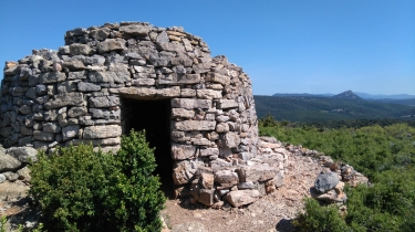 NEFFIES - BALADE BOTANIQUE EN MAI-herault