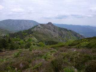 CAMBON - MONTS DE L ESPINOUSE-herault