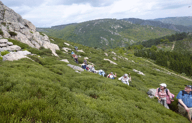 CAMBON - MONTS DE L ESPINOUSE-herault