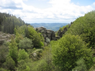 COL DE LA BANE - TOUR DU LAC DE VESOLES-herault