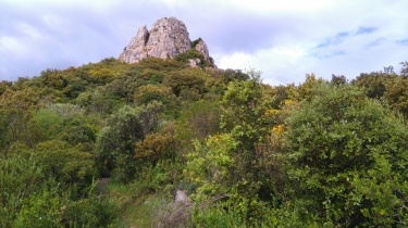 CABRIERES  - LES RUINES DU CHATEAU-herault