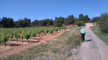 PINET - BRIDAU-herault