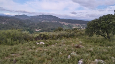 NEBIAN - LE ROC DU CAYLA-herault