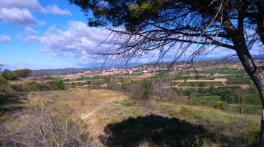 PAILHES - LA COMBE ROSSIGNOL-herault