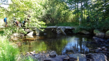 LES PLANQUES-herault