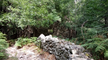 TRAVERSEE PARC DU HAUT LANGUEDOC - ETAPE 2 (FRAISSE-SUR-AGOUT - DOUCH)-herault