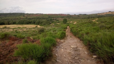 TRAVERSEE PARC DU HAUT LANGUEDOC - ETAPE 3 (DOUCH - BEDARIEUX)-herault