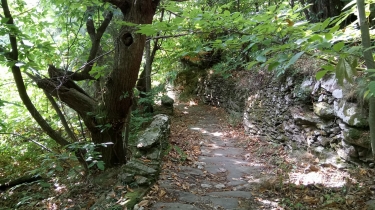 TRAVERSEE PARC DU HAUT LANGUEDOC - ETAPE 3 (DOUCH - BEDARIEUX)-herault