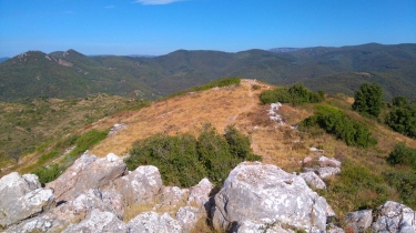 ST-NAZAIRE-DE-LADAREZ - PUECH DE LA SUQUE-herault
