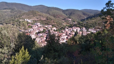 ST-NAZAIRE-DE-LADAREZ - PUECH DE LA SUQUE-herault