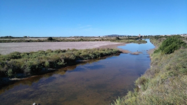 FRONTIGNAN - LES SALINS ET L ETANG D INGRIL-herault