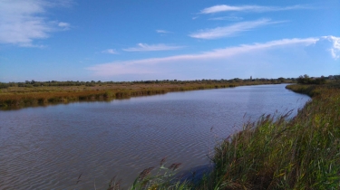 AGDE - ENTRE TAMARISSIERE ET VIAS-herault