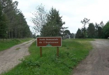 SOMMET DE L ESPINOUSE-herault