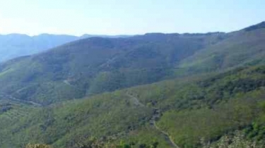 LES FORETS DE TAUSSAC-herault