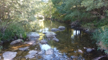 DE CAMBON-ET-SALVERGUES AU REFUGE DES BOURDILS-herault