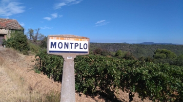 CRUZY - DEFILE DE MARIE CLOSE-herault