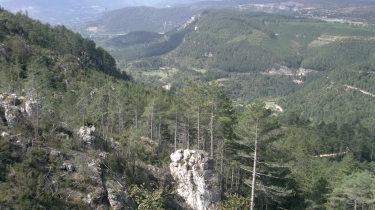 BALADE A LA VACQUERIE ET SAINT MARTIN DE CASTRIES-herault