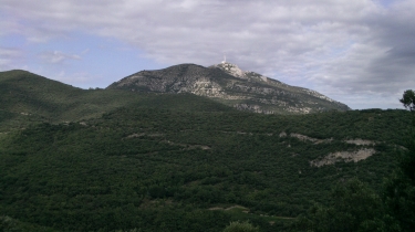 BALADE A ARBORAS-herault