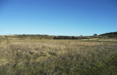 BALADE A SAINT-PAUL ET VALMALLE-herault