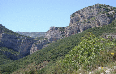 OUEST DE SAINT GUILHEM-herault