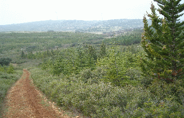 COLLINES DE LA MOURE-herault