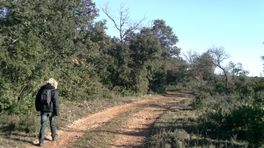 BALADE AU BOIS DE BRINGOU-herault