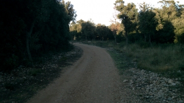 BALADE AU BOIS DE BRINGOU-herault