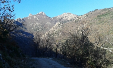 OLARGUES - CHAPELLE DE ST MARTIN DES OEUFS - PRIEURE DE ST JULIEN-herault