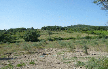 MURVIEL-LES- MONTPELLIER-herault