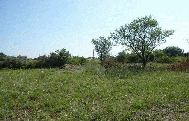 MURVIEL-LES- MONTPELLIER-herault