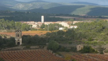 LA CAUNETTE - MOUREL NEGRE-herault