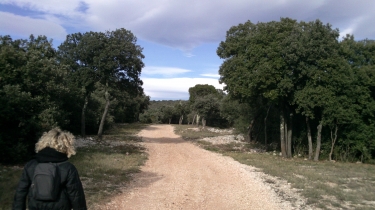 BALADE AU BOIS DE FONTANILLE-herault