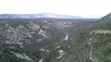 BALADE AU BOIS DE FONTANILLE-herault