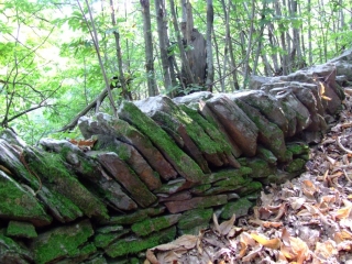 ST-GERVAIS-SUR-MARE - LE BANISSOU-herault