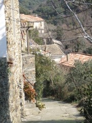 ROQUEBRUN - MONT D ORB-herault