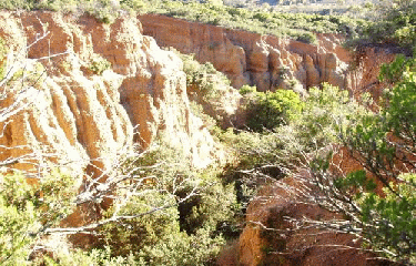 CAUSSE ET VEYRAN-herault
