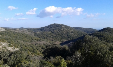 COULOUMA - PASSEJADA SUR LE CAUSSE-herault