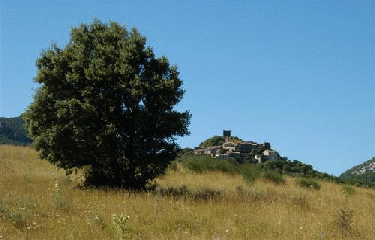 VALLEE DE LA BUEGE-herault