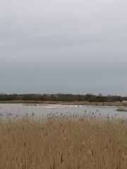 LA GRANDE MAIRE - SITE CLASSE NATURA 2000-herault