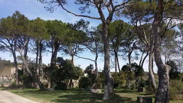 SAINT-GELY - LES MATELLES - SAINT-CLEMENT DE RIVIERE-herault
