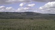 BOUCLE SUR COURNONSEC-herault