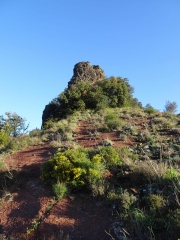 SALAGOU - LA SURE - ROUENS-herault