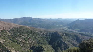 CAROUX - COURS-LE-HAUT-  LA SENTE DE CARAMAUS -herault