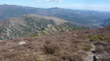 CAROUX - COURS-LE-HAUT-  LA SENTE DE CARAMAUS -herault