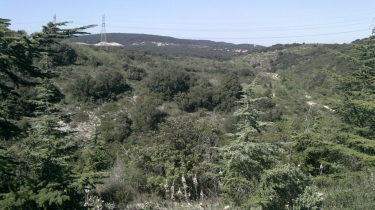 BOUCLE A VALMALLE-herault