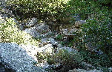 LAC DE VEZOLES-herault