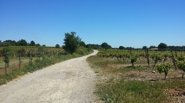 BOUCLE A SAINT-JEAN-DE-CORNIES-herault