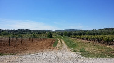 BOUCLE A SAINT-JEAN-DE-CORNIES-herault